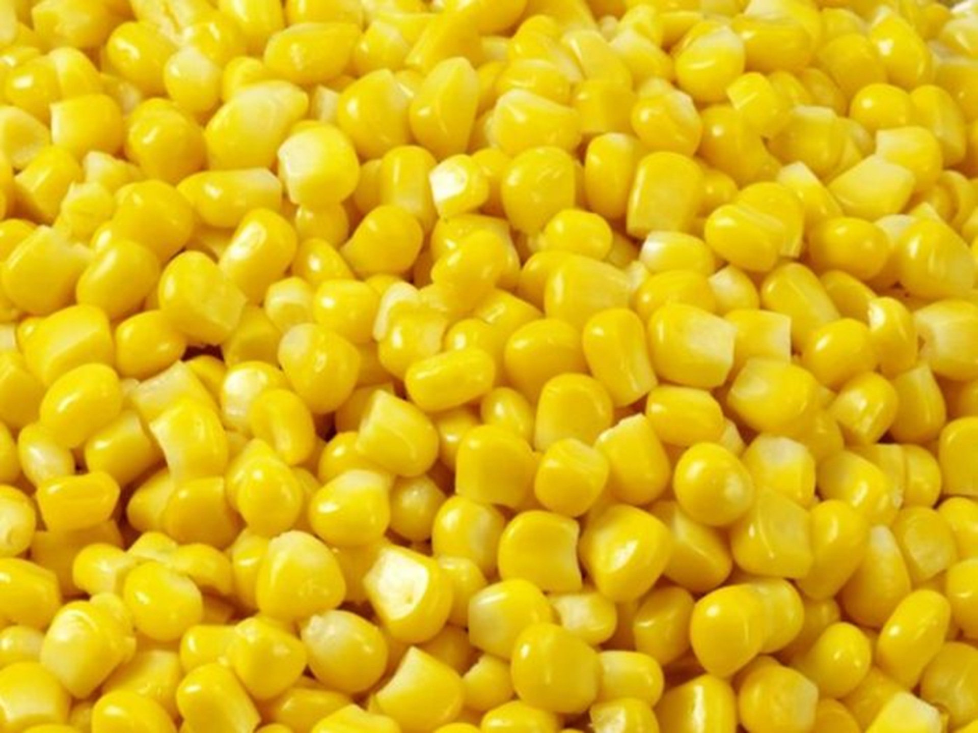 frozen sweet corn